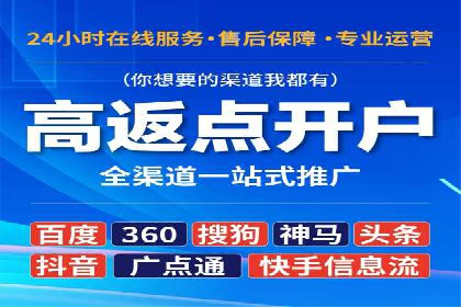 成功SEM服务案例分析报告
